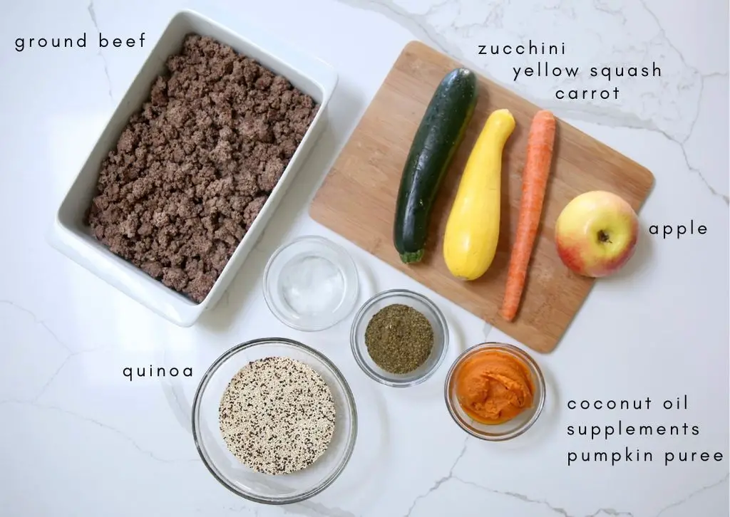 woman struggling to balance containers of homemade dog food