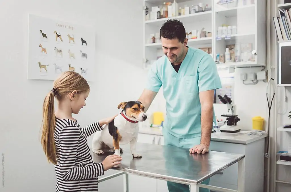 woman with dog at veterinarian office