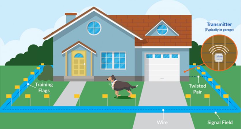 yard with invisible underground electric dog fence