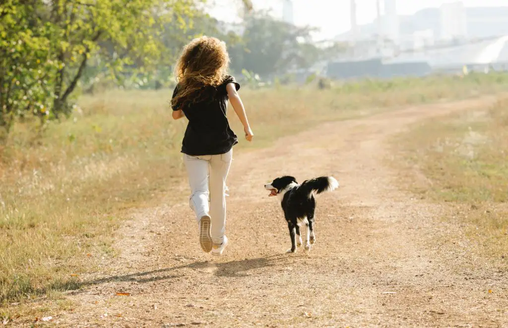 young child responding to dog whistle