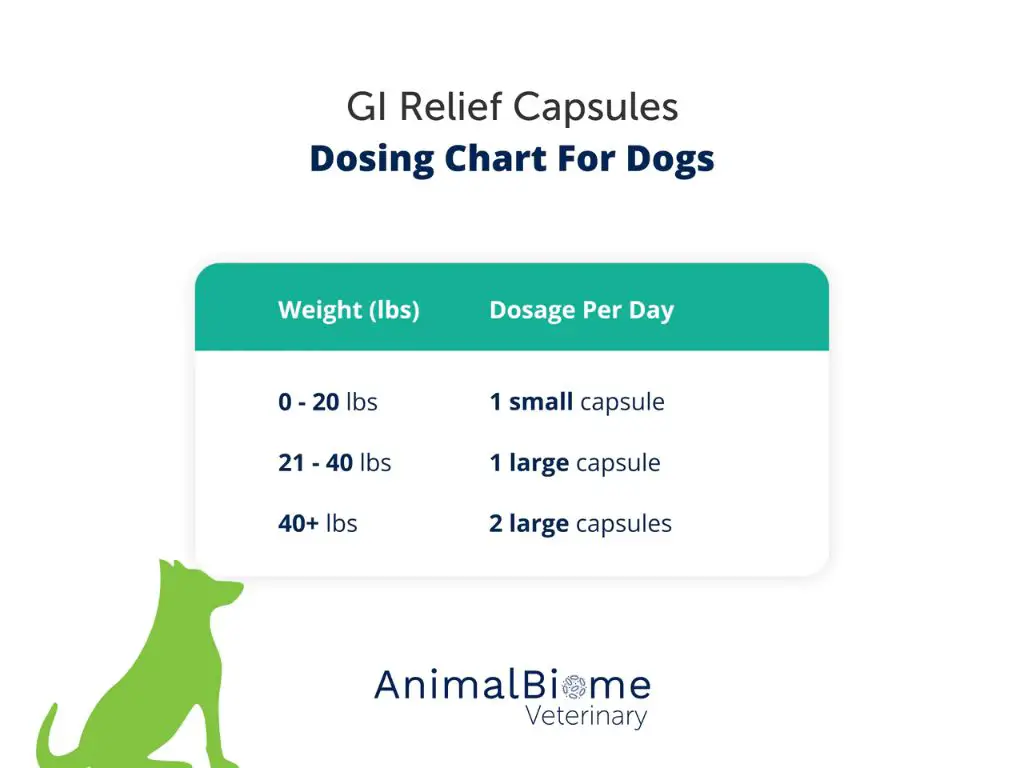 zofran dosage guidelines for dogs are based on the dog's weight, with higher doses given to larger dogs