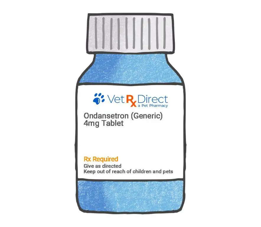 zofran is commonly used in dogs to treat nausea, vomiting, and motion sickness as an anti-emetic medication